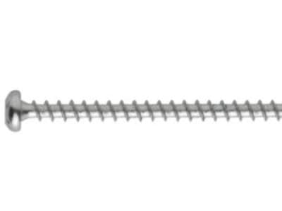 NKT universalskrue 4,0x20mm - TX20, panhoved, groft trægev. Spun+, elz. - 200stk