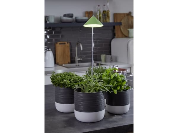 Venso EcoSolutions SUNLiTE, krom, grön, aluminium, IP54, 14 glödlampor, LED, 7 W
