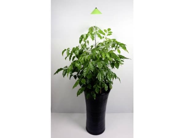 Venso EcoSolutions SUNLiTE, krom, grön, aluminium, IP54, 14 glödlampor, LED, 7 W