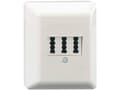 Pikkukuva 3 / 5: Rutenbeck 10310110, TAE, -5 - 50 °C, Valkoinen, IP20, 125 V, 65 mm