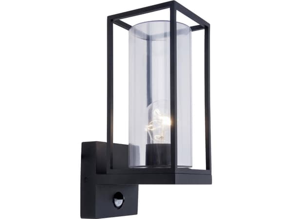 Lutec Flair 5288802012 Udendørs vægbelysning med bevægelsessensor LED (RGB) E27 40 W Antracit