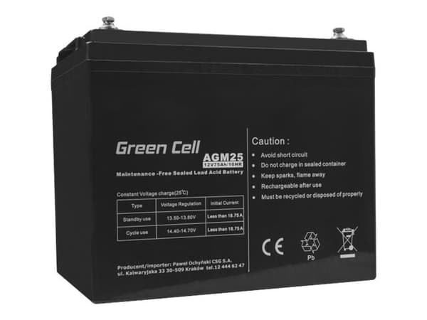 Green Cell - UPS-batteri - 1 x batteri - Sealed Lead Acid (SLA) - 75 Ah - svart