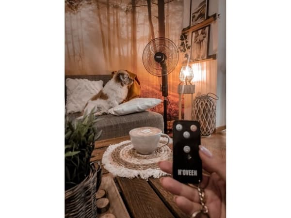 N'OVEEN F455 16 /40 cm standing fan with remote control Black