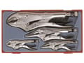 Miniatyrbild 1 av 2: Teng Tools 5-delade universaltänger - 122480106