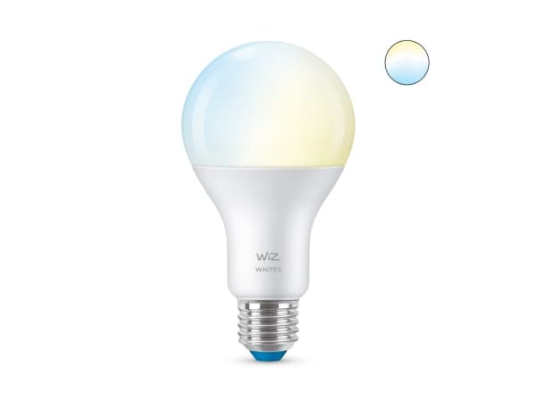 WiZ Ljuskälla 13 W (motsvarar 100 W) A67 E27