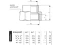 Miniatyrbild 2 av 2: Perfexim reduktionskoppling i mässing GW 1/2 x 3/8" (07-212-1510-000)