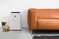Pikkukuva 5 / 5: Sharp Home Appliances KCD50EUW, 55 dB, 306 m³/h
