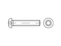 Miniatyrbild 2 av 2: TOOLCRAFT TO-5381019 Linseskruer M5 12 mm Indvendig sekskant Rustfrit stål A4 500 stk