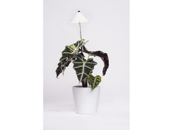 Venso EcoSolutions SUNLiTE, Krom, Vit, Aluminium, IP54, CE, 14 glödlampor, LED