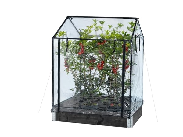 HORTUS Sänky- kasvihuone korkea 115x76x110/130 cm (211-152)