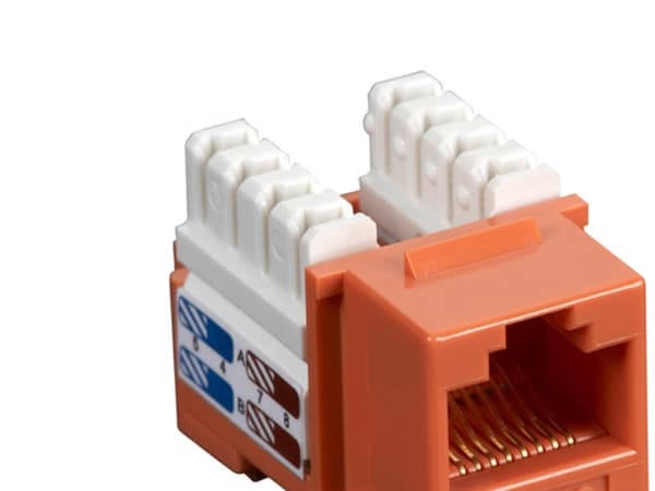 Black Box CAT6 Keystone Jack, Orange