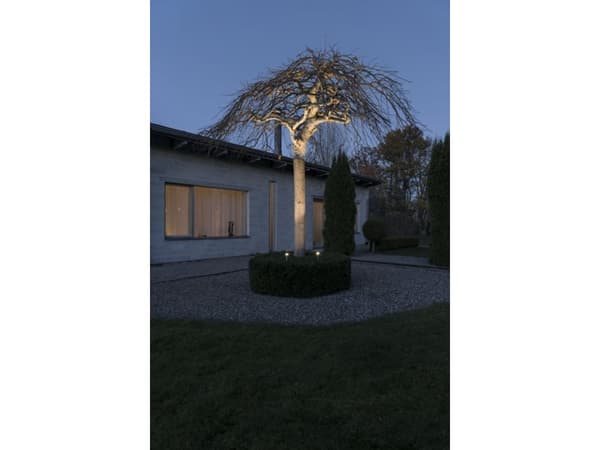 Art Forge Monza