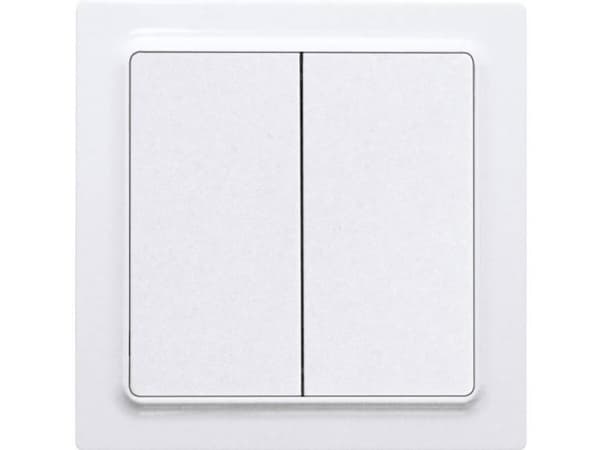 Eltako F4T55E-wg radioknapp 2-kanals overflatemontert rekkevidde maks. (i åpent felt) 30 m (30055705)