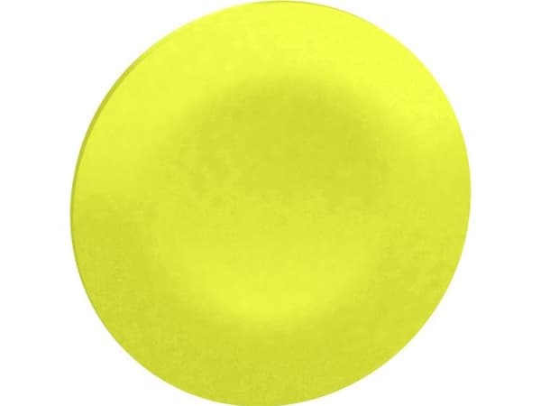 Schneider Electric ZBA75 Beskyttelseshætte 10 kpl