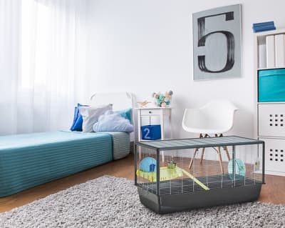 Savic Hamster Plaza knock down XL 100cm