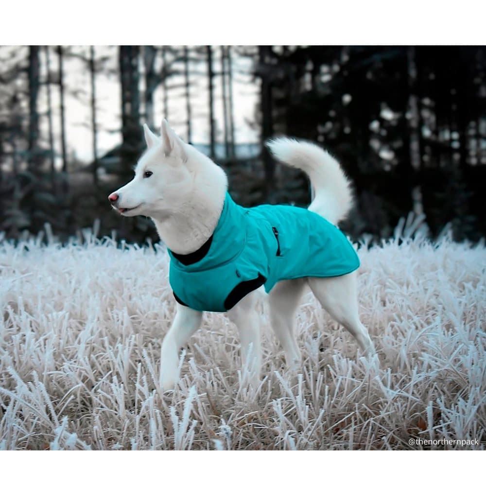 Dogman Vintertäcke Isa