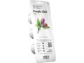 Pikkukuva 5 / 5: Click &amp; Grow Seeds for Smart Pot - Purple Chili Peppers (SGR46X3) 3kpl.