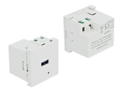 Delock - Easy 45 - USB-uttag - USB - 1 grupp - 3 A - vit, RAL 9003