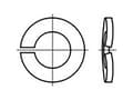Pikkukuva 2 / 2: TOOLCRAFT TO-6854388 Fjederringe Indvendig halkaisija: 12 mm DIN 128 Rustfrit stål V4A A4 100 stk