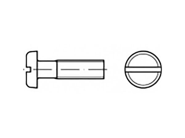 TOOLCRAFT TO-6866805 Skruer med fladt hoved M6 20 mm Kærv ISO 1580 Rustfrit stål V4A A4 100 stk