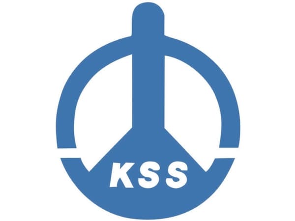 KSS 28530c1309 Kabelbinder 203 mm 4.80 mm Svart Med expansionsankare 100 st