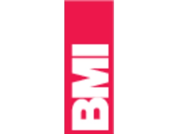 BMI 696060PM 696060PM Magnet-vaterpas med magnet 60 cm 0.5 mm/m