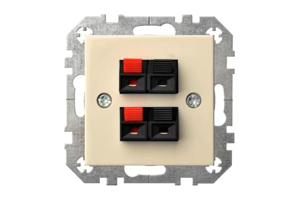 Liregus 2 Speaker Connection Socket Epsilon Įgl