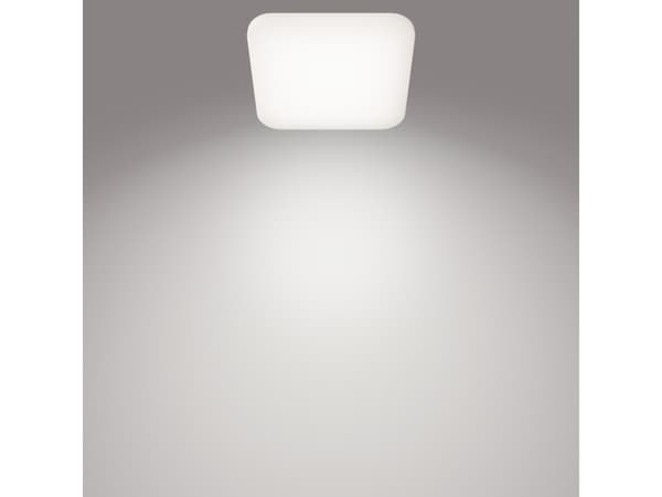 Philips Funktionell 8718696162811, LED, 4000 K, 2000 LM, IP20, Vit