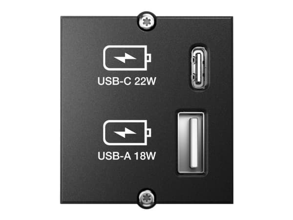 Bachmann Custom module - Modulkontaktplatta med insnäppsfästen - USB Type A, USB Typ C - svart