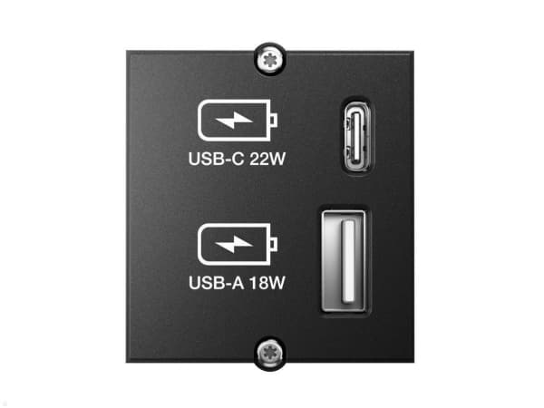 Bachmann Custom module - Modulkontaktplatta med insnäppsfästen - USB Type A, USB Typ C - svart