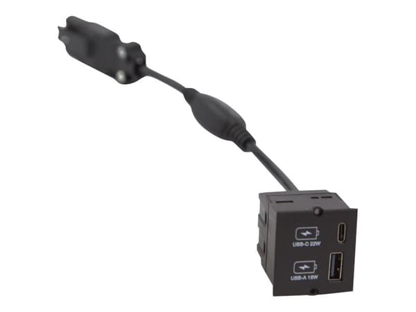 Bachmann Custom module - Modulkontaktplatta med insnäppsfästen - USB Type A, USB Typ C - svart