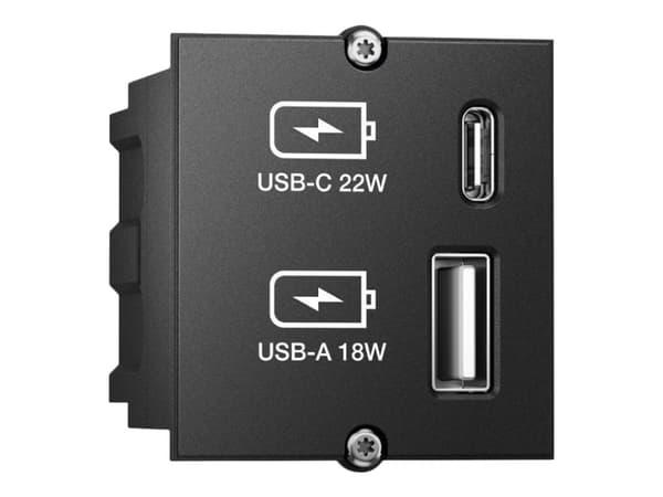 Bachmann Custom module - Modulkontaktplatta med insnäppsfästen - USB Type A, USB Typ C - svart