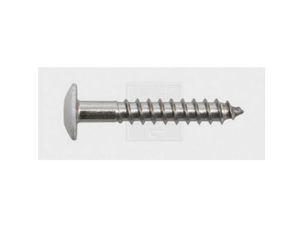 SWG 211555620 Facadeskrue 5.5 mm 55 mm T-profil Rustfrit stål A4 100 stk