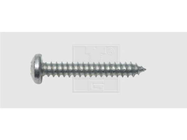 SWG 115391625 Skruv med platt huvud 3,9 mm 16 mm Kryssning Philips DIN 7981 Stål förzinkat 100 st