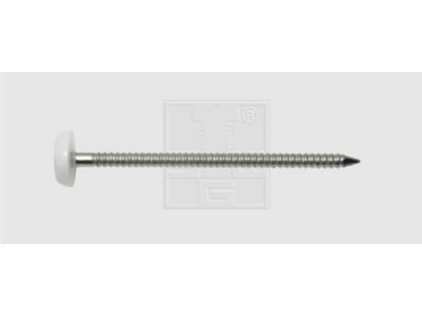 SWG 9841255030 Søm Med plastikhoved (Ø x L) 2.5 mm x 50 mm Rustfrit stål A4 80 stk