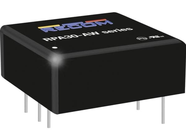 RECOM RPA30-2412SAW/P DC/DC Binary Converter 2500 mA 30 W Antal utgångar: 1 x