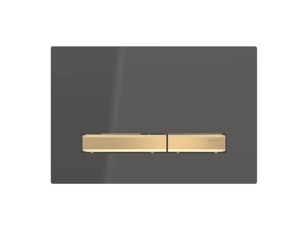 Geberit 115.672.DW.2, Huuhtelulevy, Musta, Geberit, 246 mm, 13 mm, 164 mm