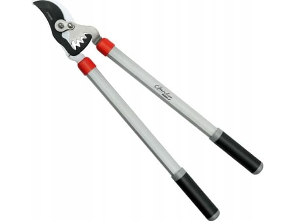 Dedra BY PASS branch secateurs, gear