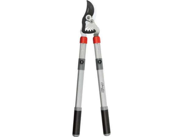 Dedra BY PASS branch secateurs, gear, telescopic