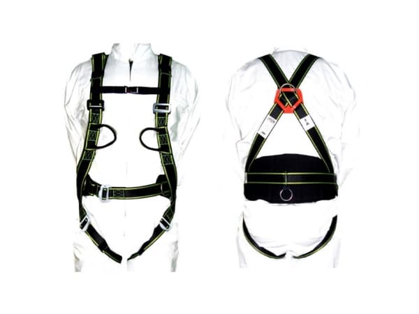 Dedra Safety harness with 2 attachment points with belt + 2 safety lines - BHSZ11