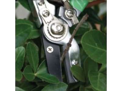 Modeco Garden secateurs with anvil 205mm - MN-08-102