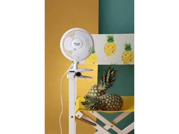 Adler AD 7317, Husholdningsvifte, Hvit, Bord, 150 cm, 90°, 30 W