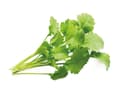 Pikkukuva 2 / 5: Click & Grow 4742793007663, Syötävä kasvi, Vihanneskrassi, Aloituspakkaus, 3 kpl, Laatikko