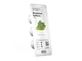 Miniatyrbild 1 av 3: EMSA Click & Grow, Sallad