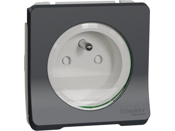 Schneider Electric Mureva Style Socket mechanism 2P + PE threadless terminals anthracite IP55 MUR36133