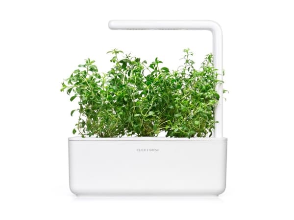 Click & Grow SGR75x3, Syötävä kasvi, Kynteli, Aloituspakkaus, 7 - 14 päivää, 18 - 30 °C, 3 kpl
