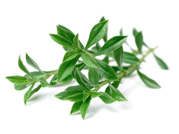 Click & Grow SGR75x3, Syötävä kasvi, Kynteli, Aloituspakkaus, 7 - 14 päivää, 18 - 30 °C, 3 kpl