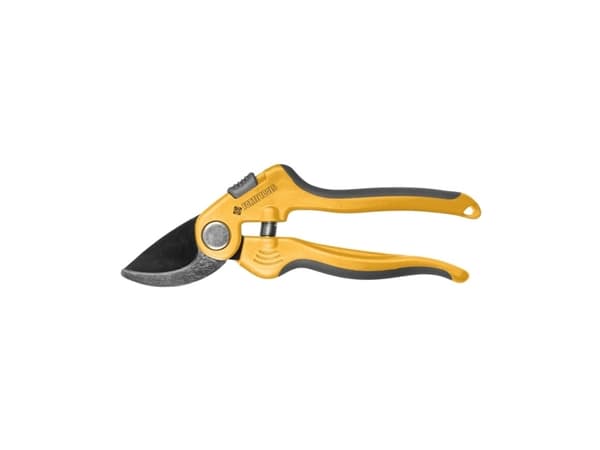 Forte_Tools Forte Tools Bypass Pruner