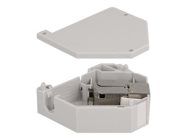 Delock - Modulär adapter - kan monteras på DIN-skena - CAT 6a - STP - grå - 1 port