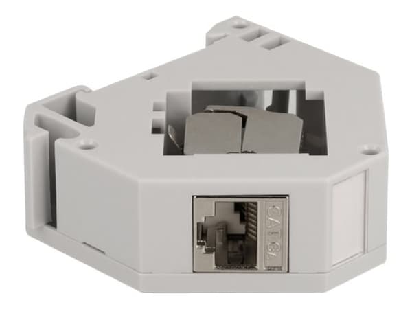 Delock - Modulär adapter - kan monteras på DIN-skena - CAT 6a - STP - grå - 1 port